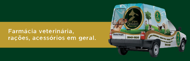 CLÍNICA VETERINÁRIA GOLDEN DOG CAT CLÍNICA VETERINÁRIA GOLDEN DOG CAT
